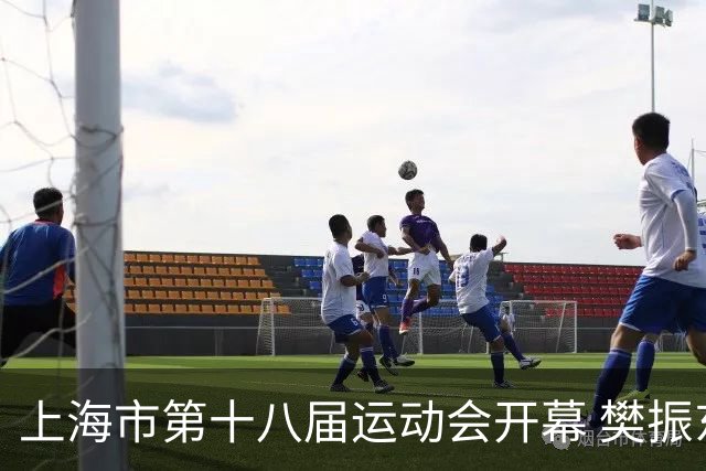 上海市第十八届运动会开幕 樊振东、吴敏霞等体坛名将助阵
