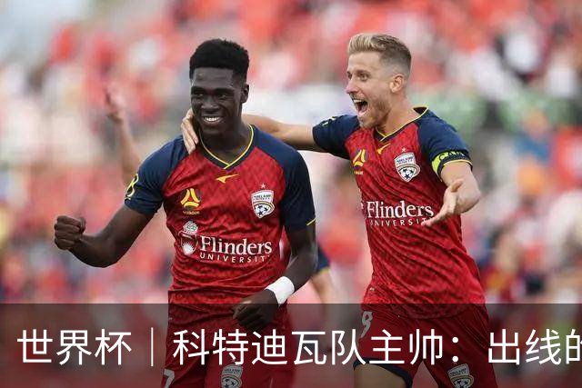 世界杯｜科特迪瓦队主帅：出线的关键在于团队成长