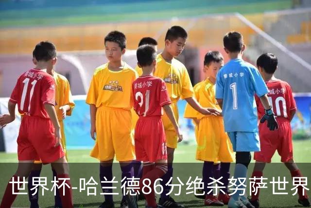 世界杯-哈兰德86分绝杀努萨世界波 挪威2-1科特迪瓦