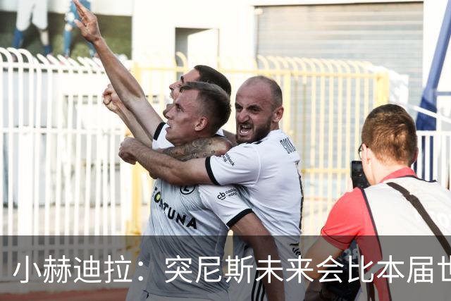 小赫迪拉：突尼斯未来会比本届世界杯更好 批评？我已经付出全力